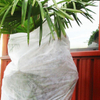 Disposable Friut Bag Polypropylene Non-woven Fabric Spunbonded PP Nonwoven Fabric Banana Bag