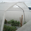 UV 15-30GSM 100%pp Spunbond Agriculture Nonwoven Fleece Landscape Fabric