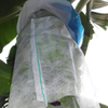 100%pp Spunbond Non Woven Fabric for Fruit Bag Cover Banana Bag