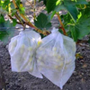 17gsm Disposable PP Spunbonded Nonwoven Fabric Agriculture Banana Bag