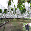 High quality 100%polypropylene spunbond non woven fabric for fruit bag cover