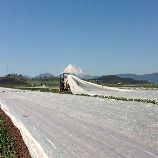 2022 New Product Black /white Color PP Non-woven Fabric for Agriculture Weed Control