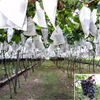 Fruit protection bag use high quality pp spunbond non woven fabric 