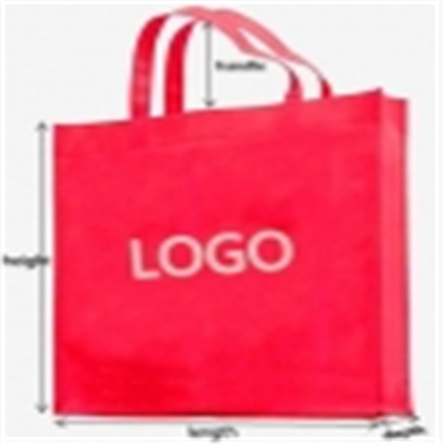 New Design Colorful Handle Bag Pp Non Woven Fabric for Shopping Bags 