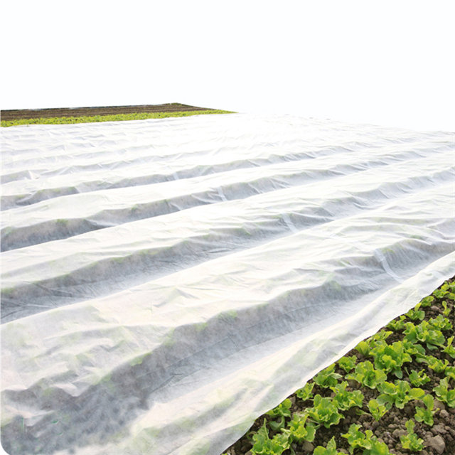 Agricultural protect material 100%pp uv spunbond nonwoven fabric supplier