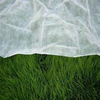 Wholesale Covering Material for Plant (spunbond Agro Fabric)