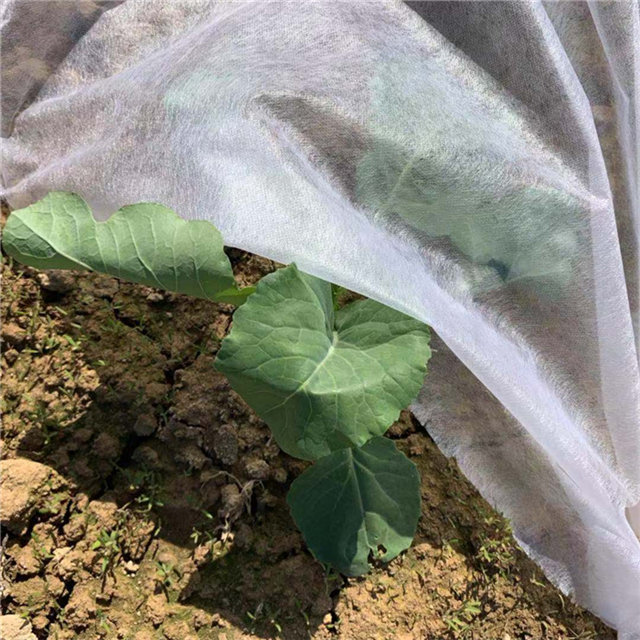 Agriculture UV resistant pp non woven spunbond weed control nonwoven fabric 