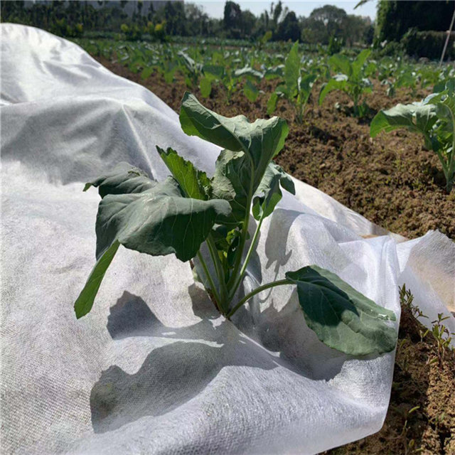 UV protect agriculture pp spunbond nonwoven fabric