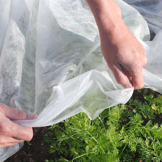 Agriculture Cover Nonwoven Fabric for Weed Control, Greenhouse Protection