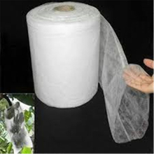 China market wholesale 100% pp Nonwoven fabric for fruit protection bags