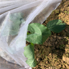 Agriculture cover PP nonwoven weed control UV spunbond non woven fabric
