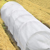 Agriculture 3% UV Nonwoven Cover 100% Pp Spunbonded Nonwoven Roll
