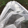 UV 15-70GSM 100%PP Agriculture Nonwoven Weed Control Weed Mat Garden Cover Fabric