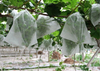  Spunbonded Non-woven Fabric Supplier for Hotels Manufacturer Directory 