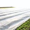 Anti UV polypropylene spunbond agriculture non woven fabric