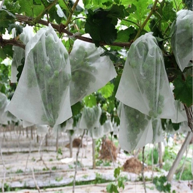 Anti 1-3% Uv Pp Non Woven Fruit Control Cover Bag, Tnt Polypropylene NonWoven Fabric Fruit Protection Bags 
