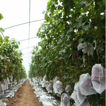 Eco-friendly pp fruit cover agriculture protection bags pp spunbond non-woven fabric 