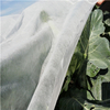Agriculture Cover Nonwoven Fabric for Weed Control, Antifreeze, UV Resistance, Greenhouse Protection