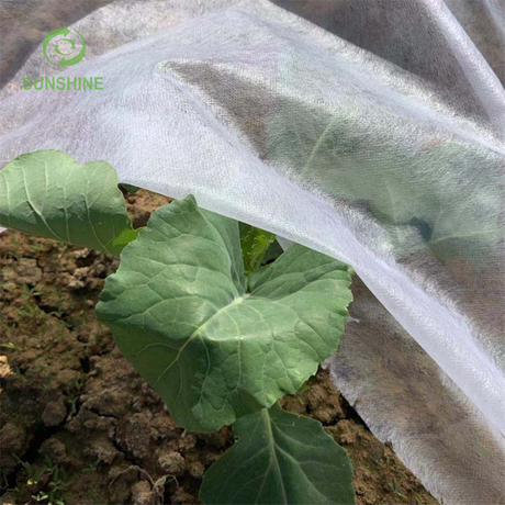 Wholesal 18GSM 100%polypropylene Agriculture Garden Cover Nonwoven Fabric Agricultural Ground Cover