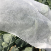 17GSM 3%UV PP Spunbond Nonwoven Fabric Roll Material for Agriculture
