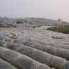 Anti-UV Cover Ground Spunbonded PP Nonwoven Fabric Cloth Agriculture Cover