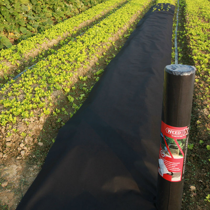 Agriculture Cover Nonwoven Fabric for Weed Control, Antifreeze, UV Resistance, Greenhouse Protection