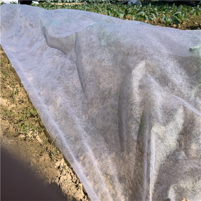 Weed control 5%UV agricultural pp nonwoven fabric roll